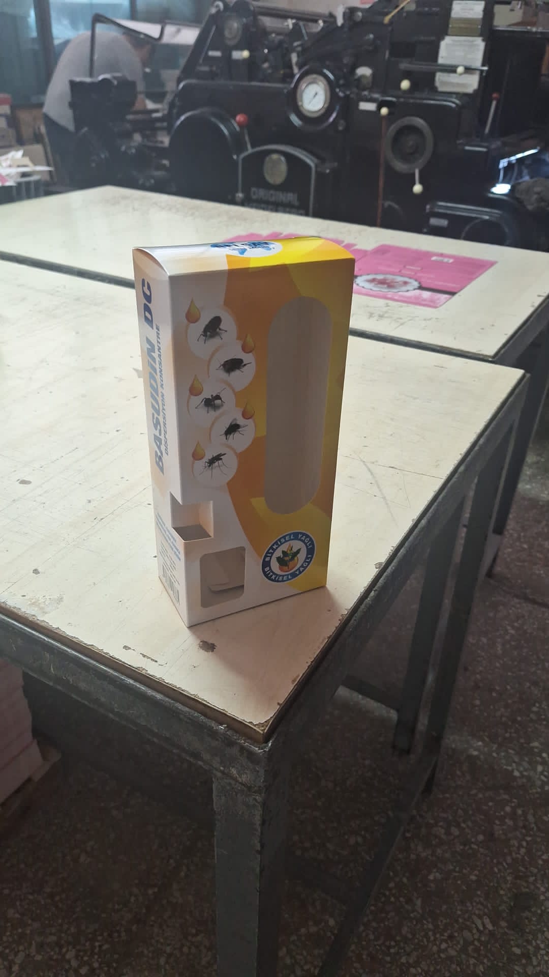Başkent Kutu Koli